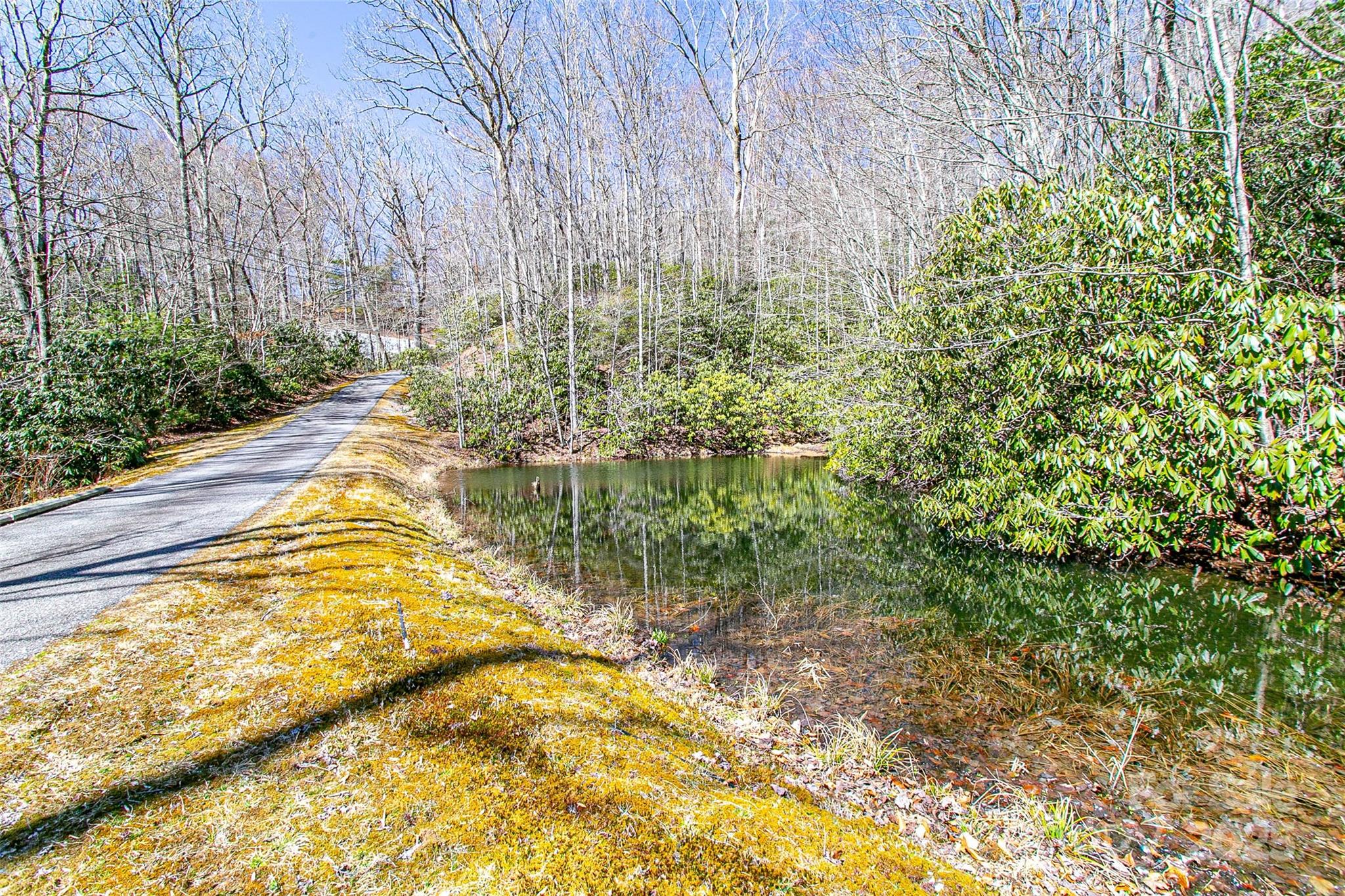 TBD Still Branch Road L20