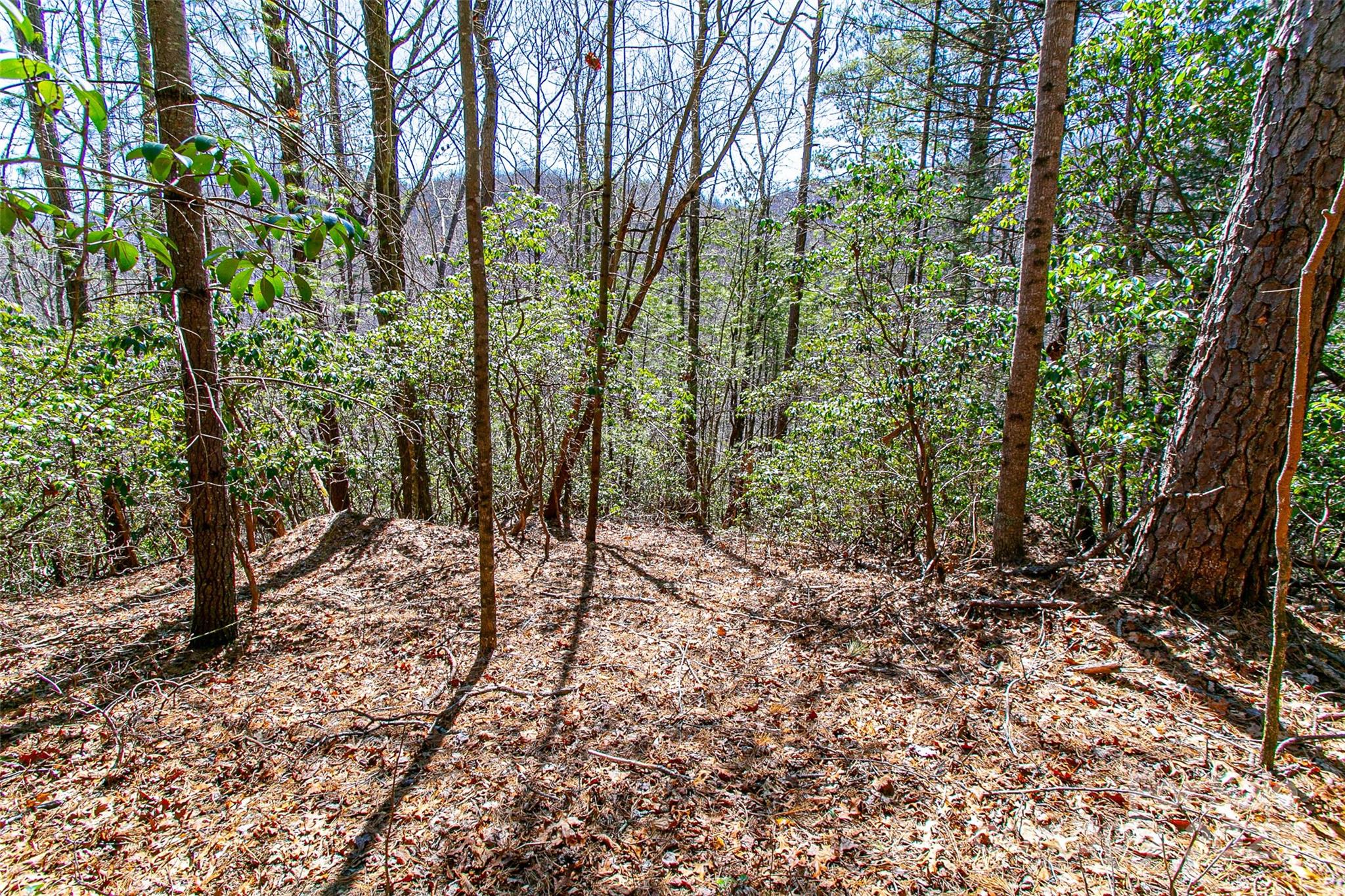 Whiskey Creek - Land