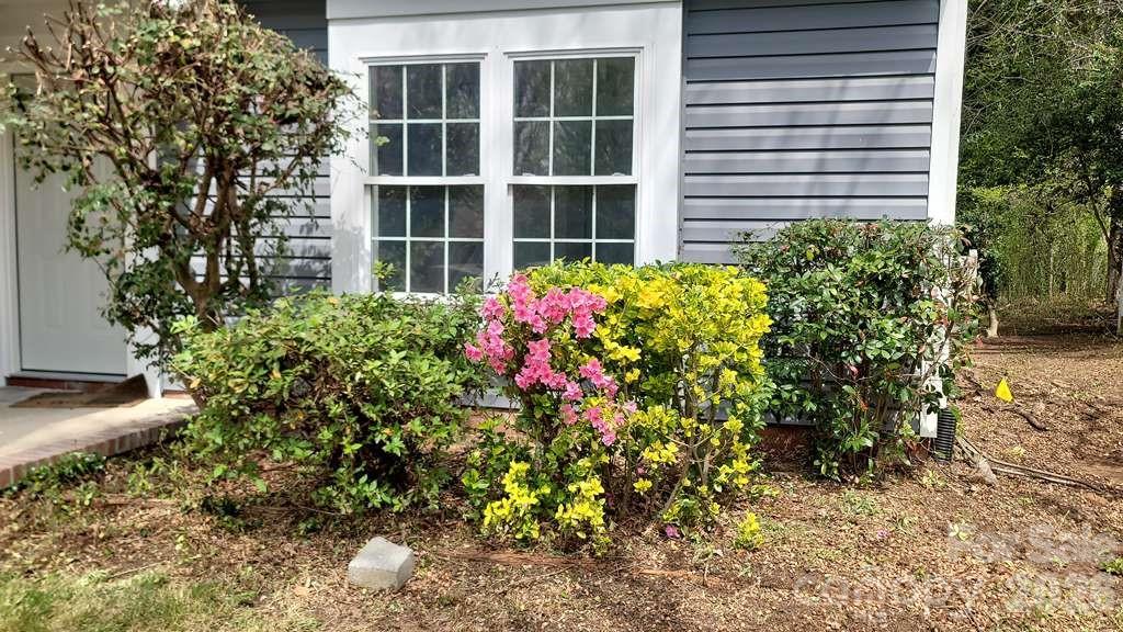 Holly Hills - Residential