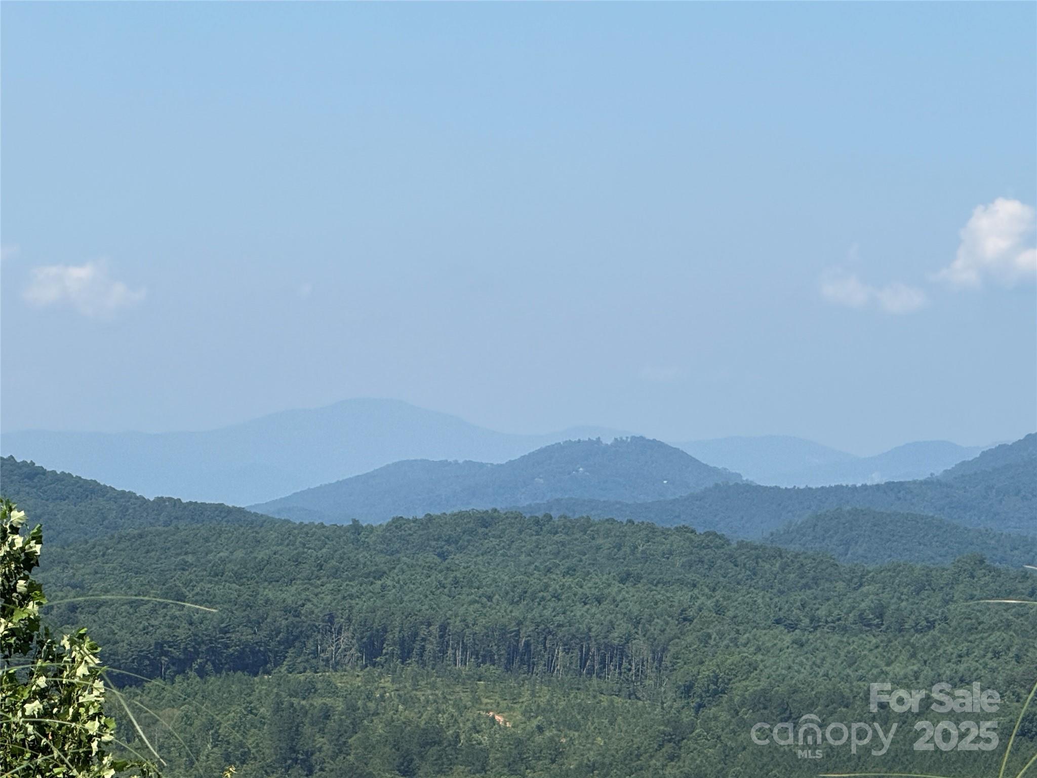 0 Scenic Vista Drive 262