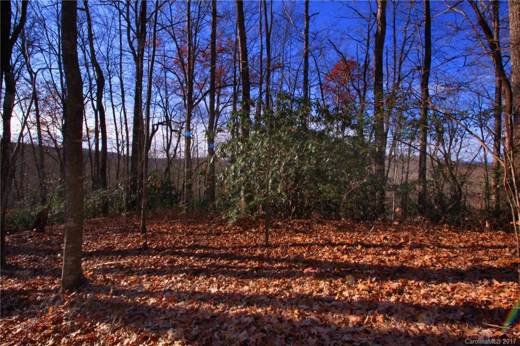 Indian Camp Mountain - Land