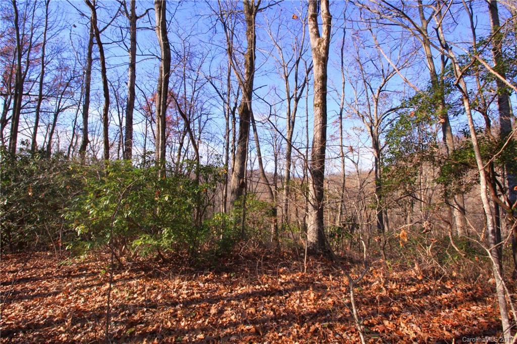 Indian Camp Mountain - Land