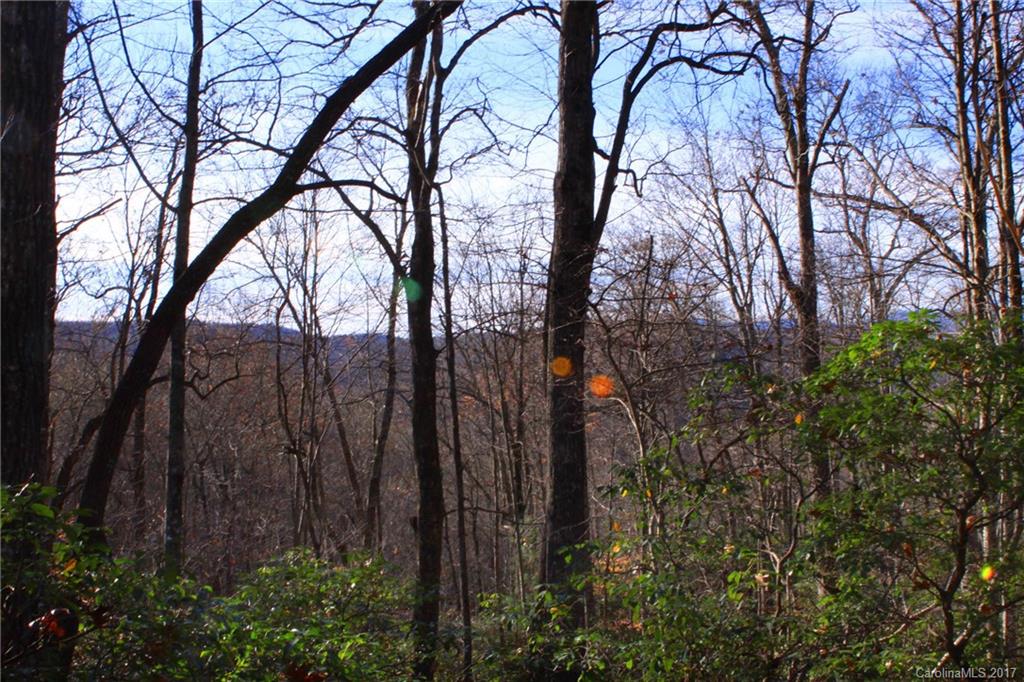 Indian Camp Mountain - Land