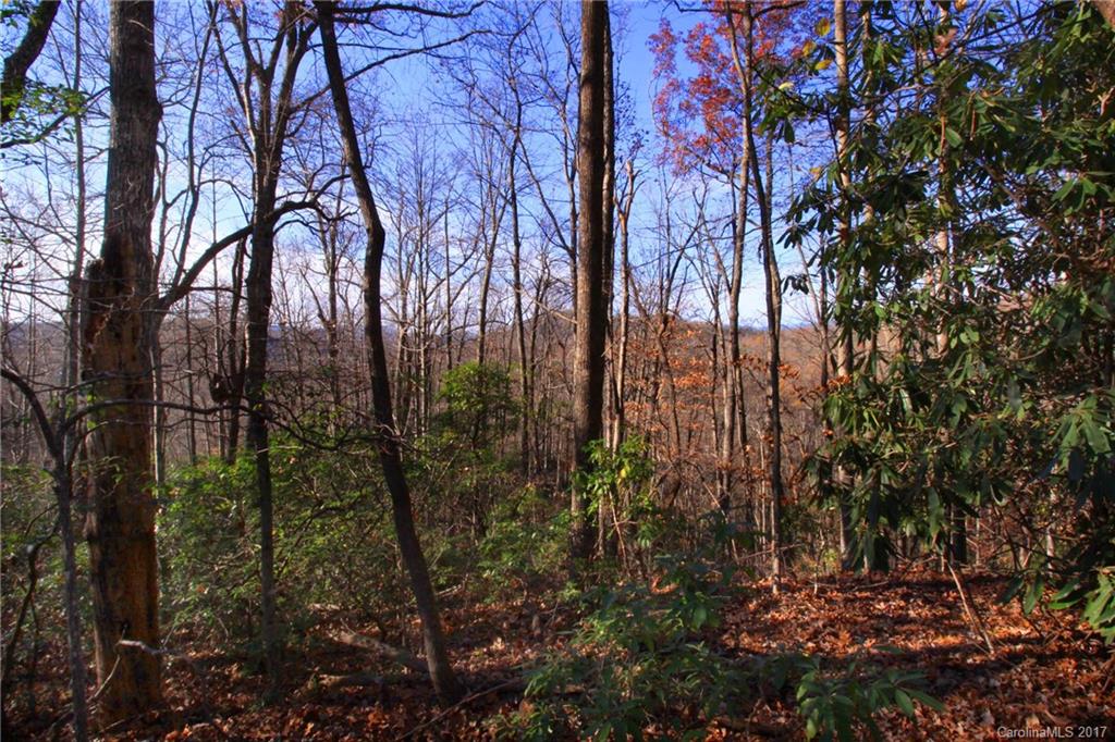 Indian Camp Mountain - Land