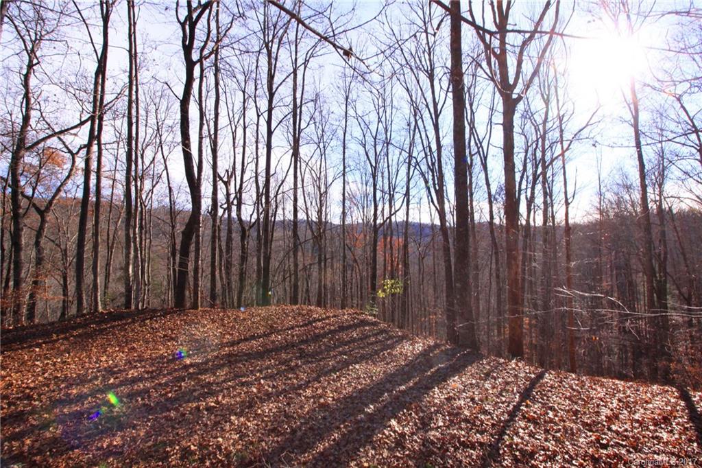 Indian Camp Mountain - Land