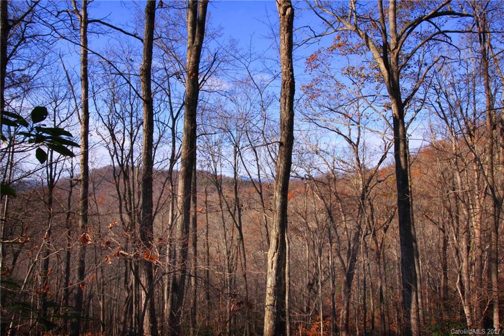 Indian Camp Mountain - Land