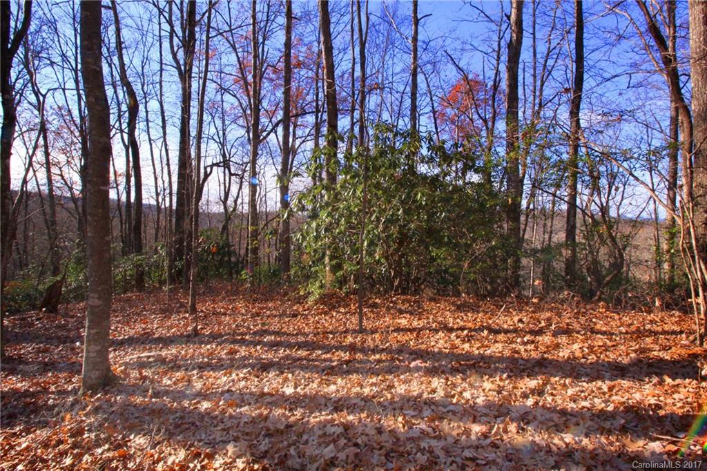 Indian Camp Mountain - Land