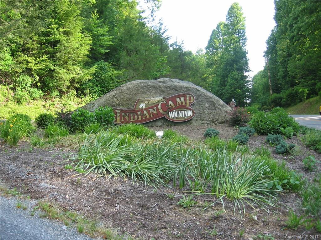 Indian Camp Mountain - Land