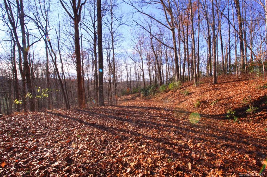 Indian Camp Mountain - Land