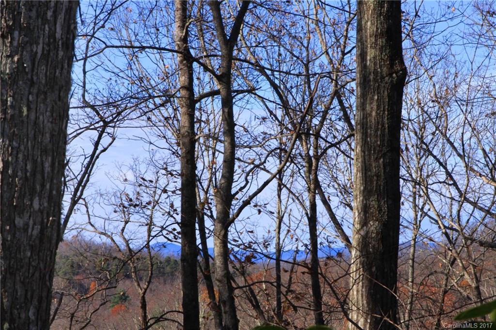 Indian Camp Mountain - Land