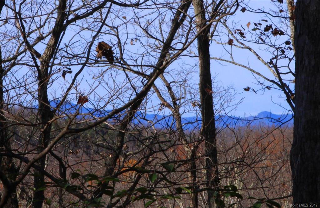 Indian Camp Mountain - Land