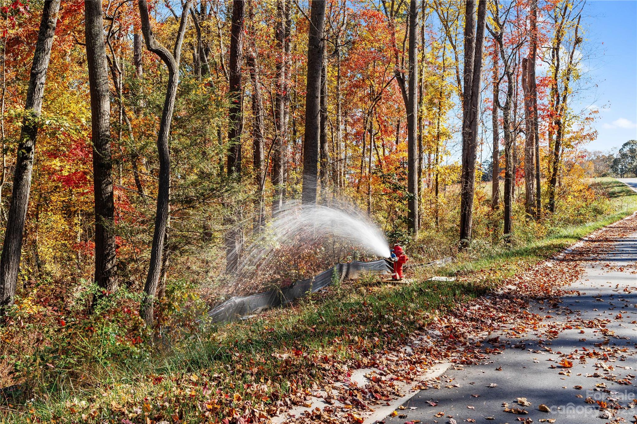 Chambers Trace - Land