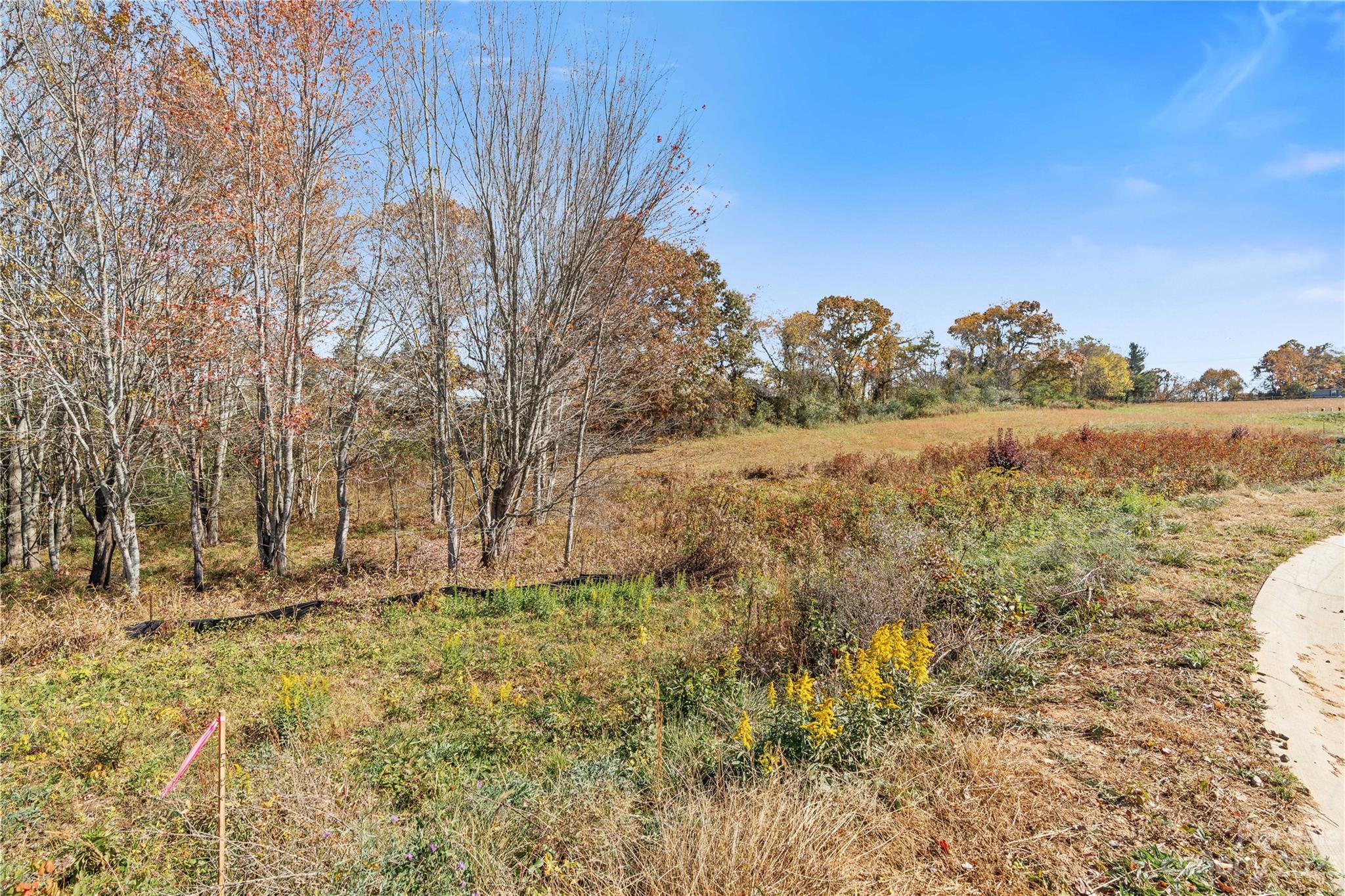 Chambers Trace - Land