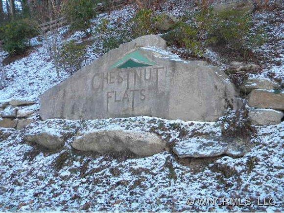 Preserves at Chestnut Flats - Land