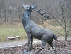 Preserves at Chestnut Flats - Land