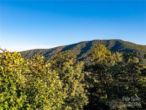 11 Watershed Way # 128R Horse Shoe NC 28742