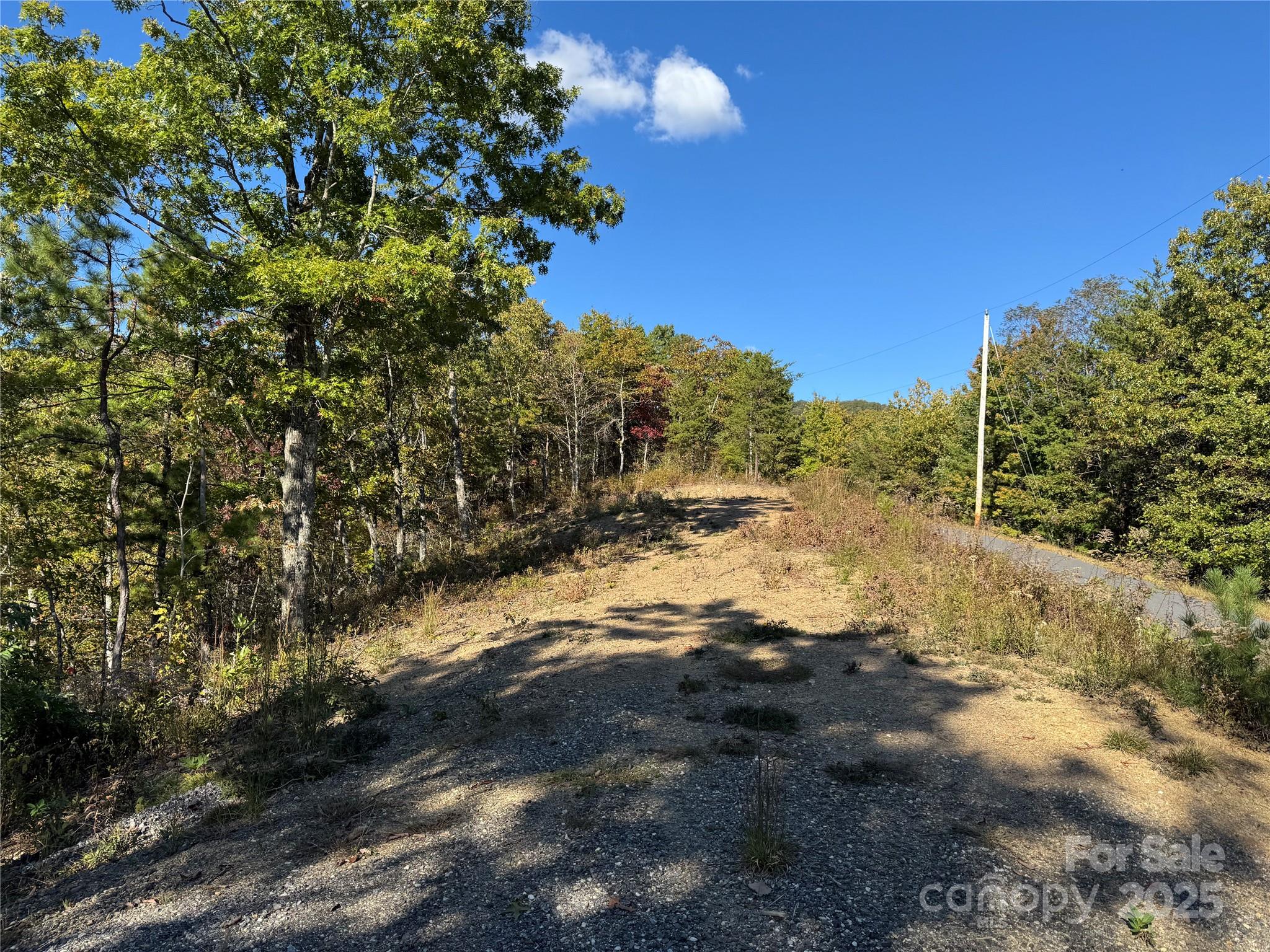 931 Mountainside Drive