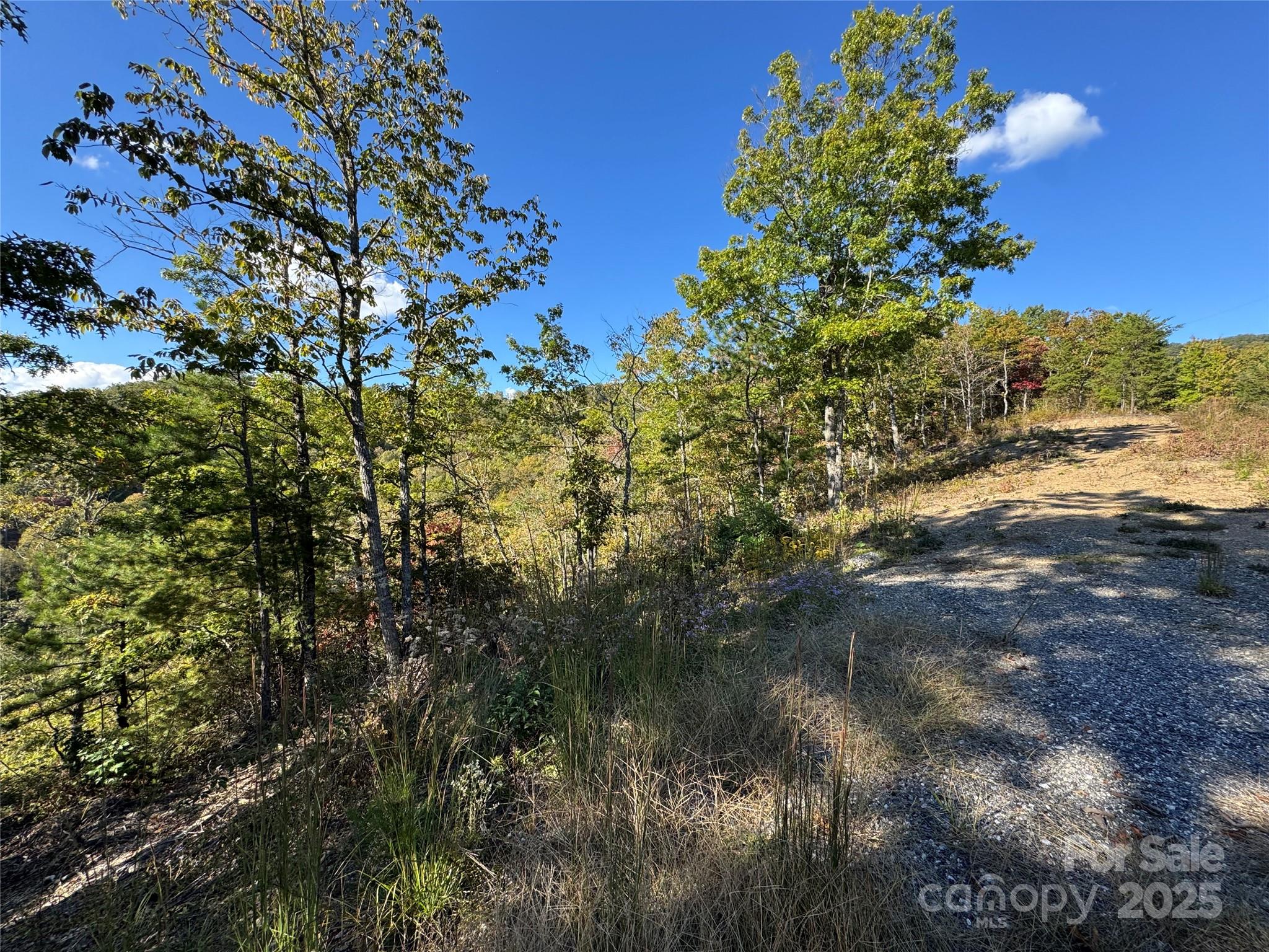 Fontana lake Properties - Land
