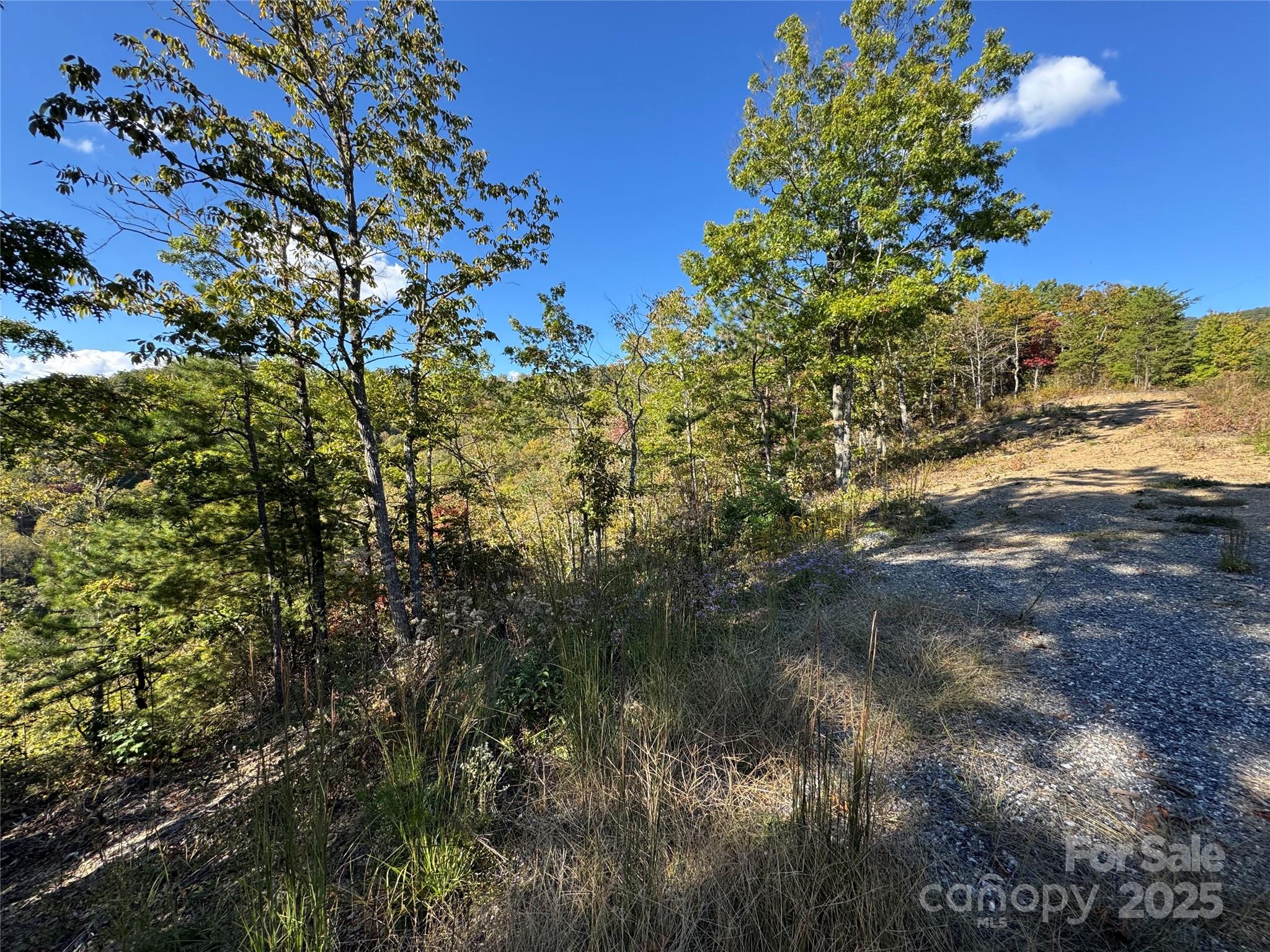 Fontana lake Properties - Land