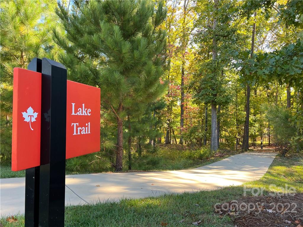 Tree Tops - Residential