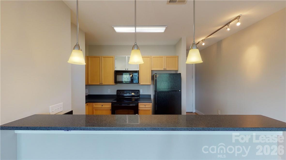 1101 W 1st Street 419