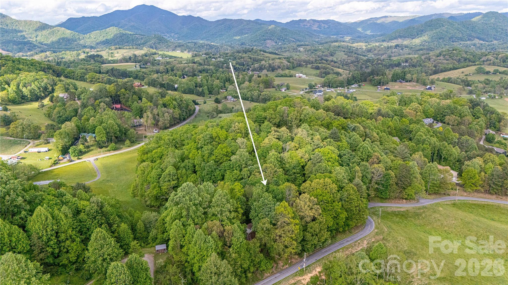 Coleman Mtn Estates - Residential