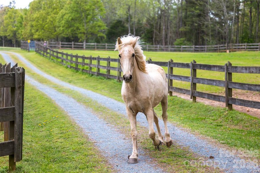 4+ Acre Equestrian Retreat | 2.5 Miles to Downtown Waxhaw The Ultimate Blend of Country Soul and Small-Town Charm Welcome to your private equestrian paradise tucked away at the end of a winding gravel drive. Situated in the heart of Waxhaw’s renowned horse country, this 4+ acre ranch offers the rare opportunity to embrace a true "farm-to-table" lifestyle without sacrificing the convenience of nearby boutiques and dining. 

The Land & Equestrian Features Turn-Key Horse Property: 
Two sprawling, fenced pastures ready for your herd. Rich, Mature Acreage: Towering trees and established gardens set in nutrient-rich soil—a gardener’s dream. Endless Potential: Ample flat, usable land perfectly suited for a luxury pool, pool house, or detached workshop. 

Modern, Light-Filled Interiors Inside, the home is move-in ready and designed for views. The open-concept layout features: New Plank Flooring: Consistent, durable, and stylish flooring throughout the entire home. Vaulted Great Room: An oversized living space with soaring ceilings and massive windows that frame the rolling pastures like a painting. Seamless Entertaining: The eat-in kitchen flows directly into the dining and living areas, keeping you connected with guests. Outdoor Living & Storage 

The View: Step onto the expansive rear deck to enjoy breathtaking, unobstructed views of your private grounds. Ample Workspace: An extra-large carport and garage provide plenty of room for horse trailers, tractors, or a classic car collection. 
Location, Location, Location Experience total seclusion while staying just 2.5 miles from historic downtown Waxhaw. Enjoy the best of both worlds: the peace of the country and the vibrant energy of local shops, breweries, and community events.
