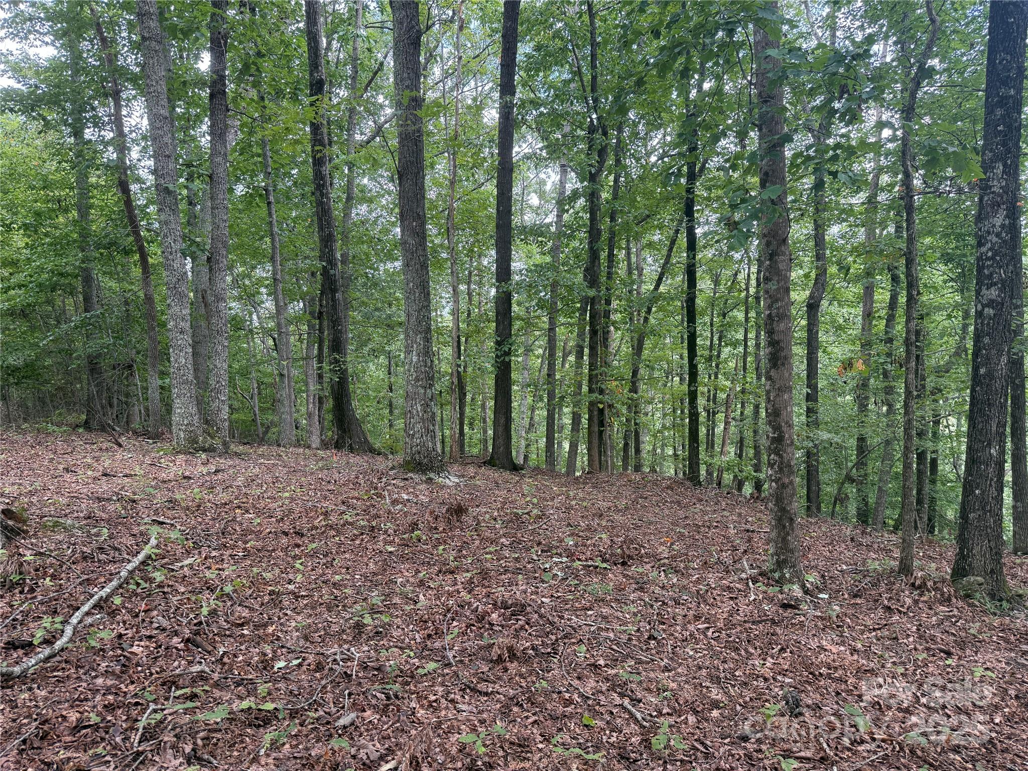 Grandview Peaks - Land