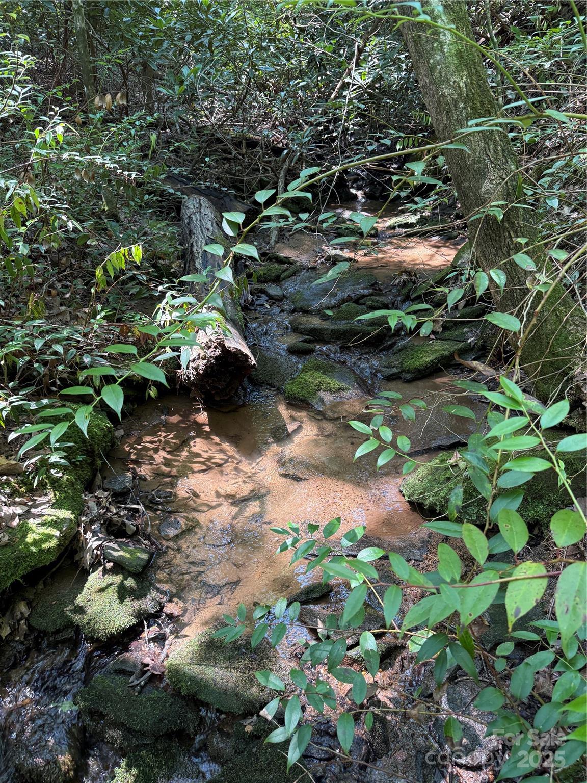 Grandview Peaks - Land