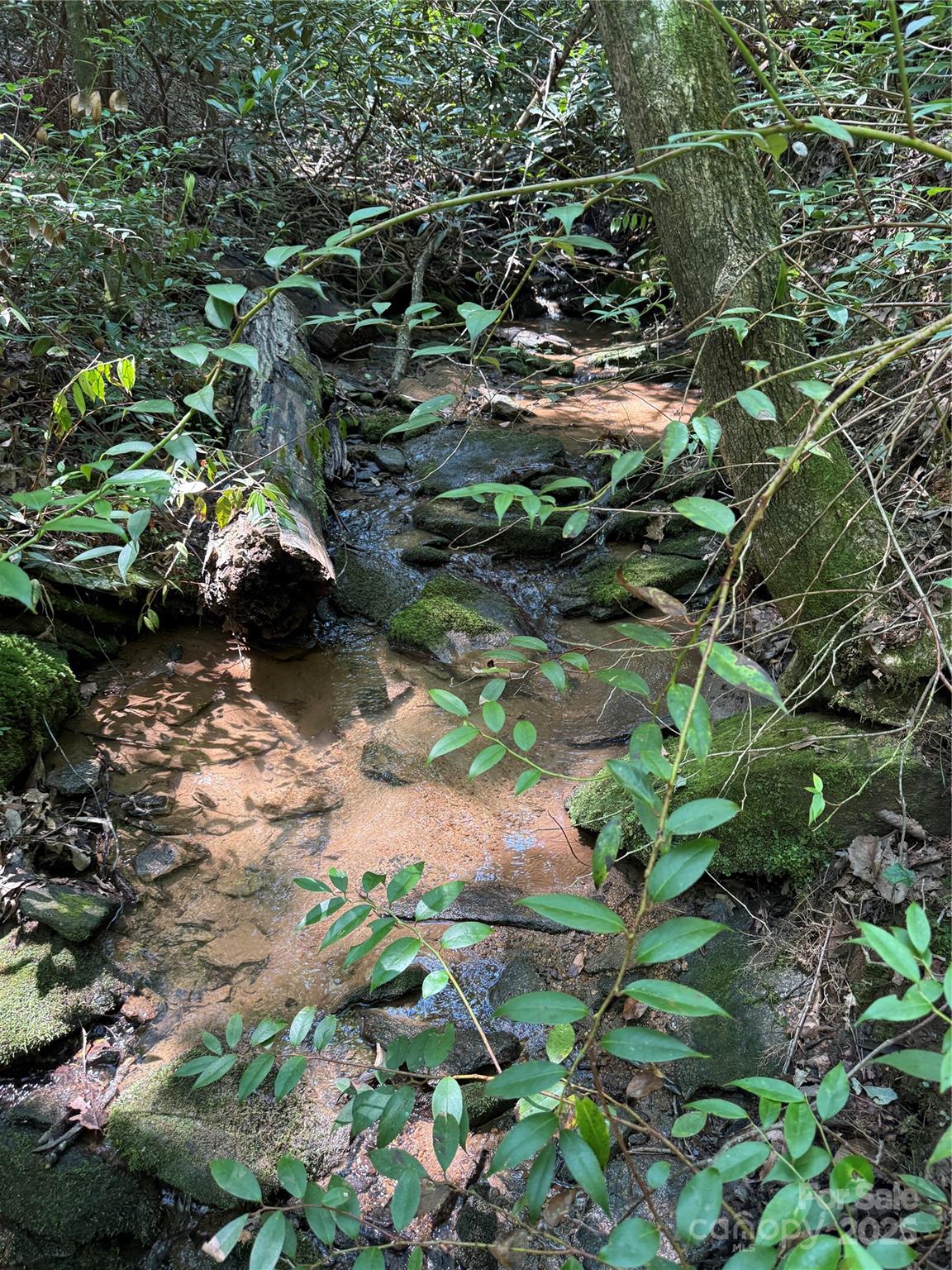 Grandview Peaks - Land