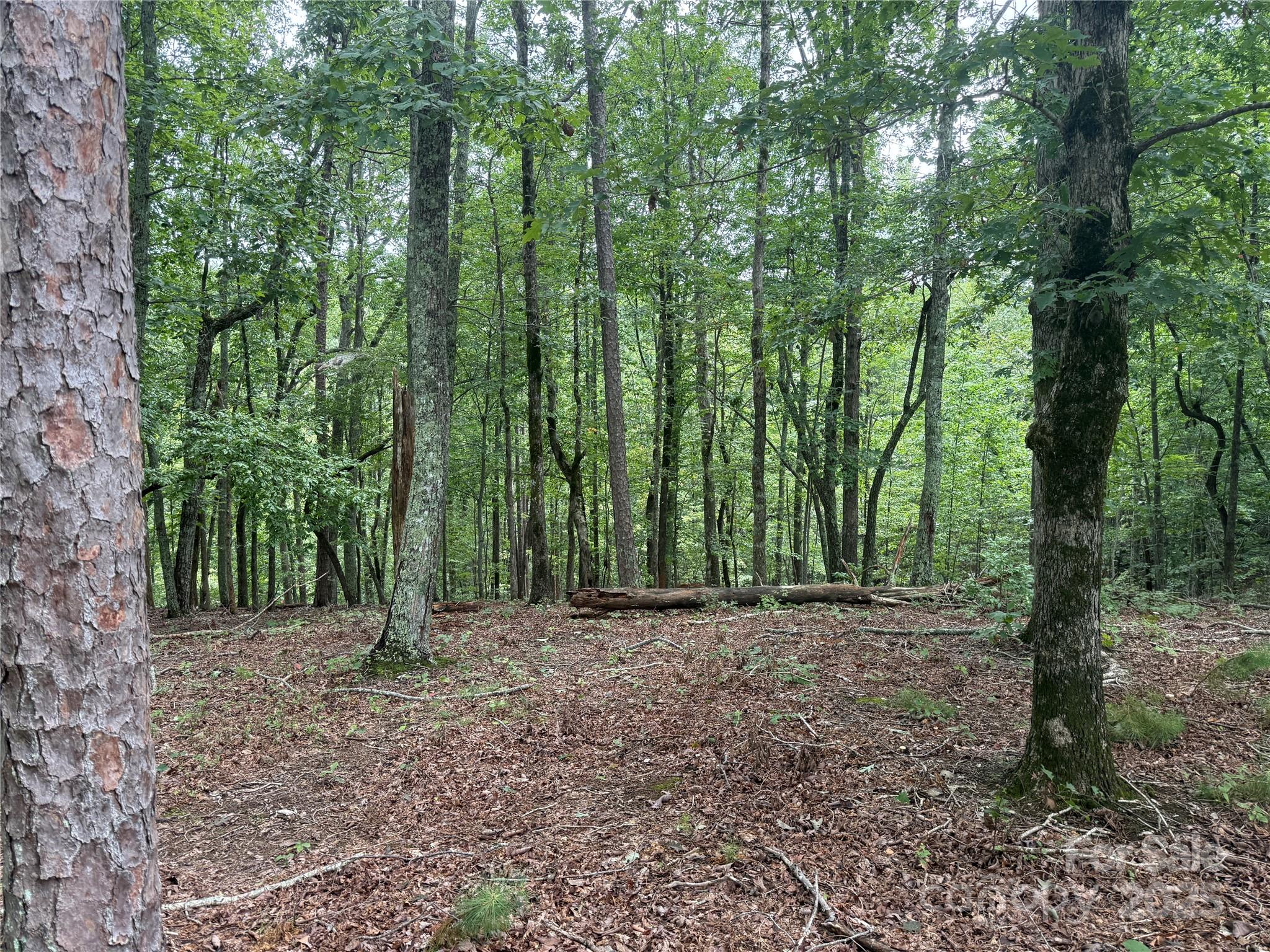 Grandview Peaks - Land