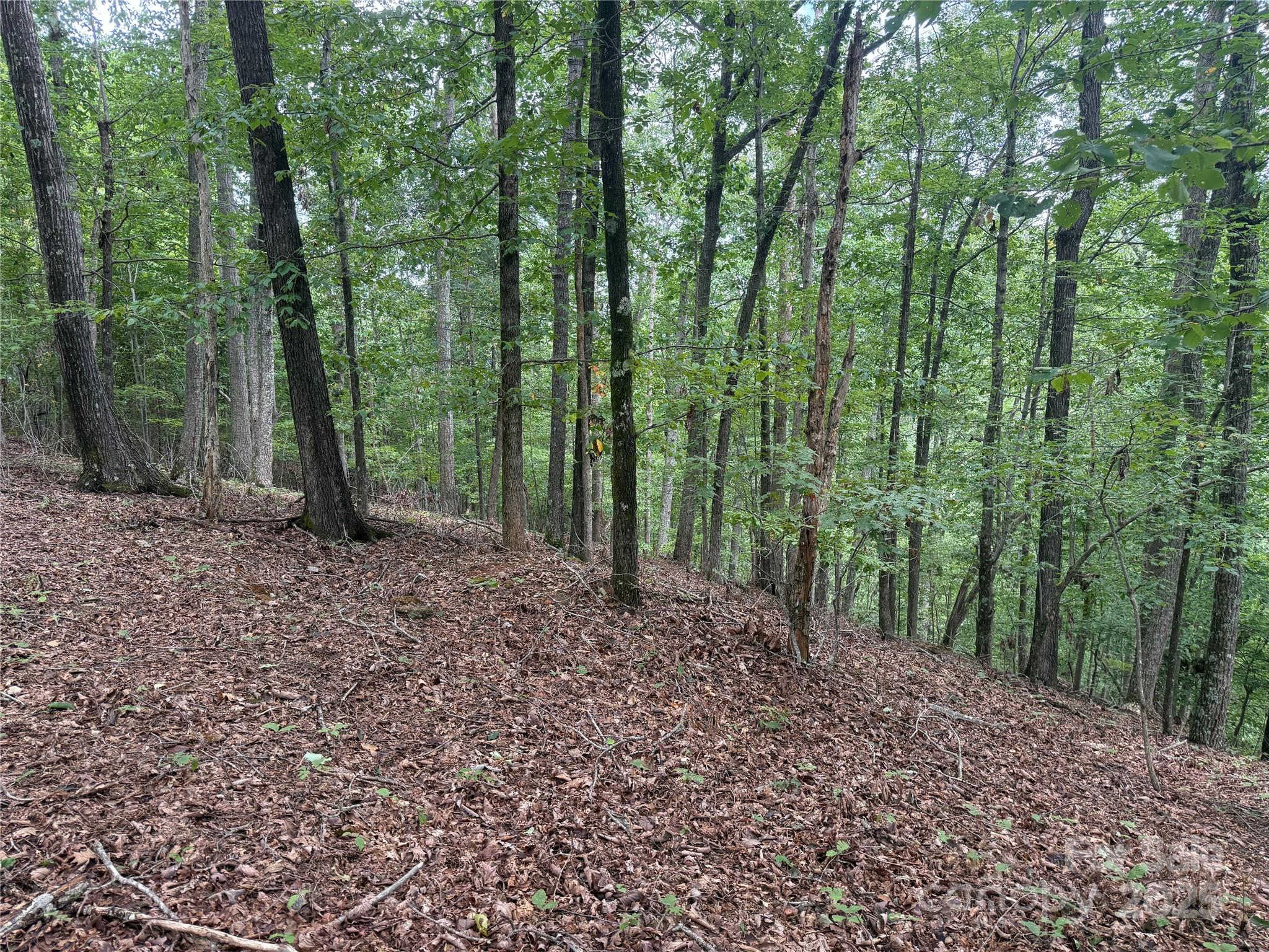 Grandview Peaks - Land