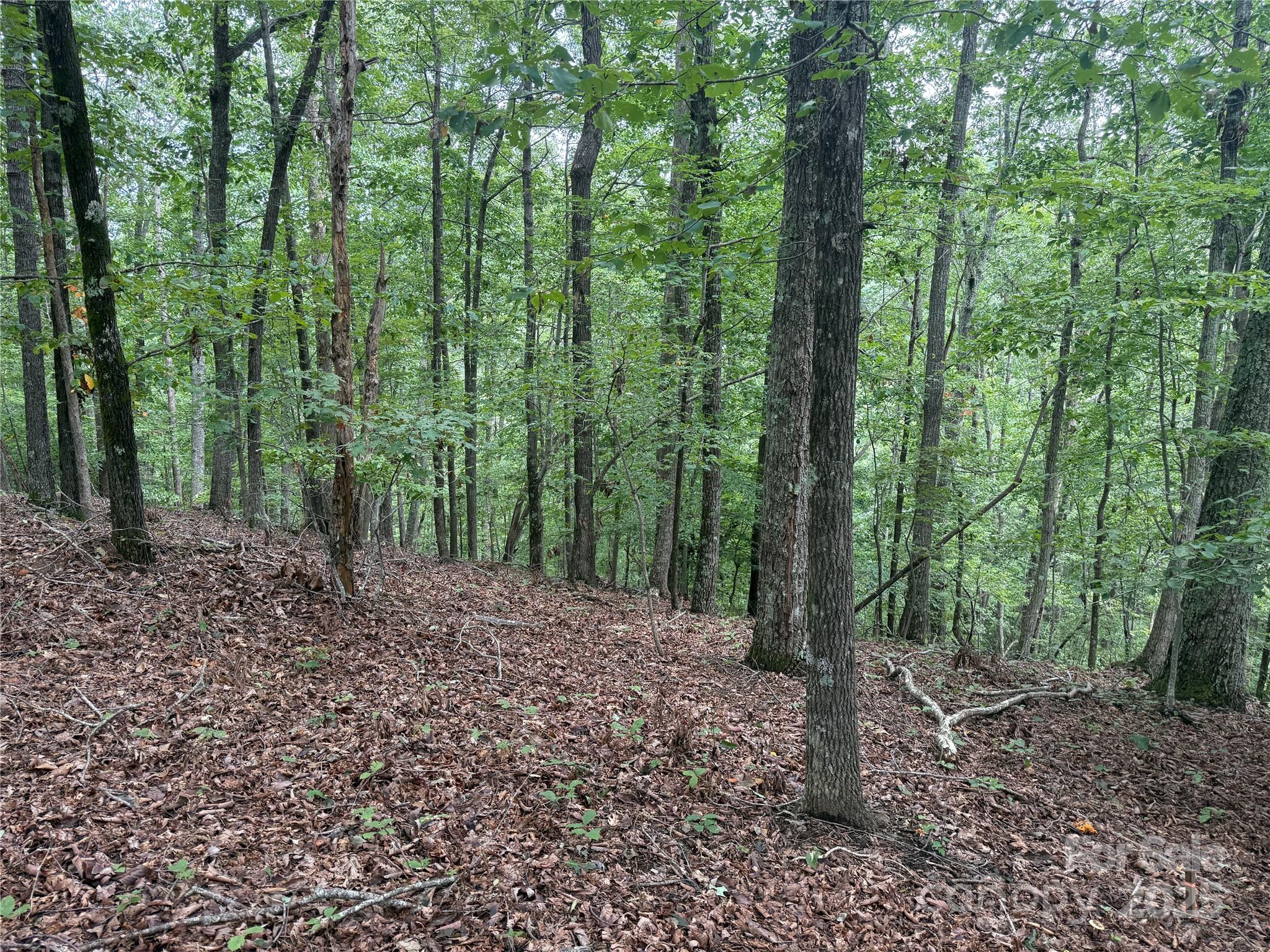 Grandview Peaks - Land