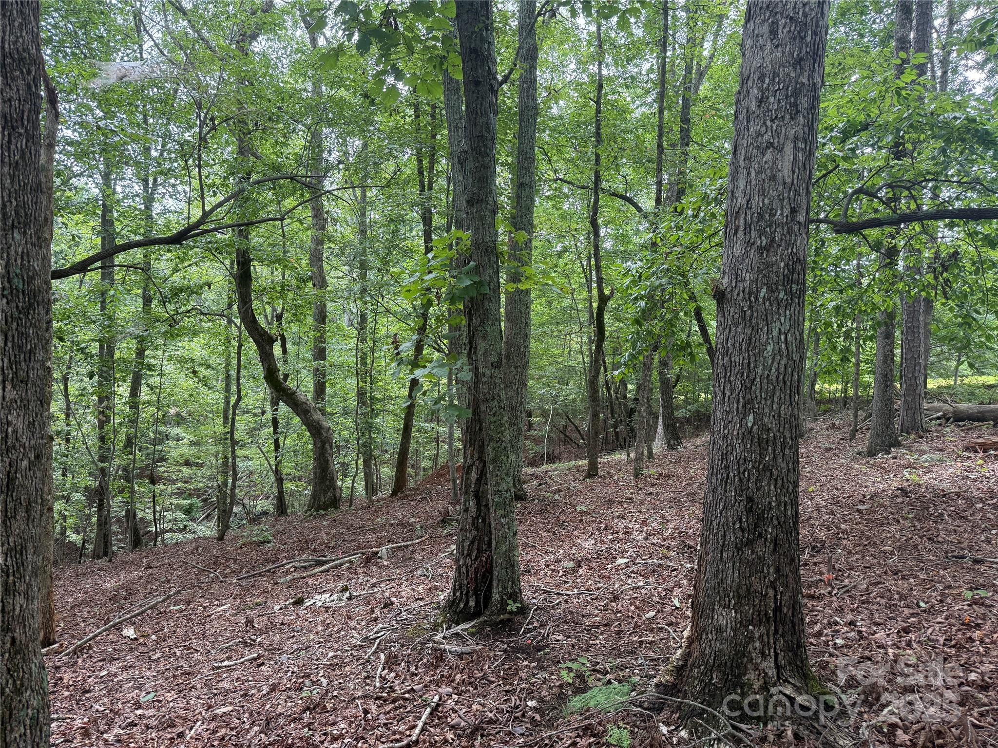 Grandview Peaks - Land