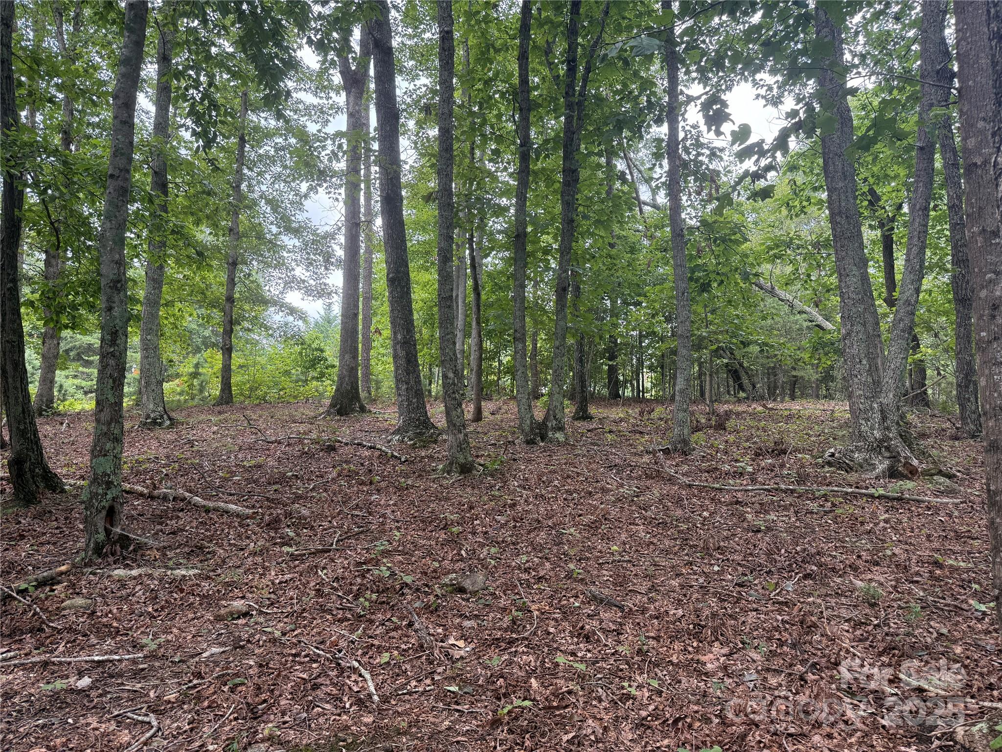 Grandview Peaks - Land