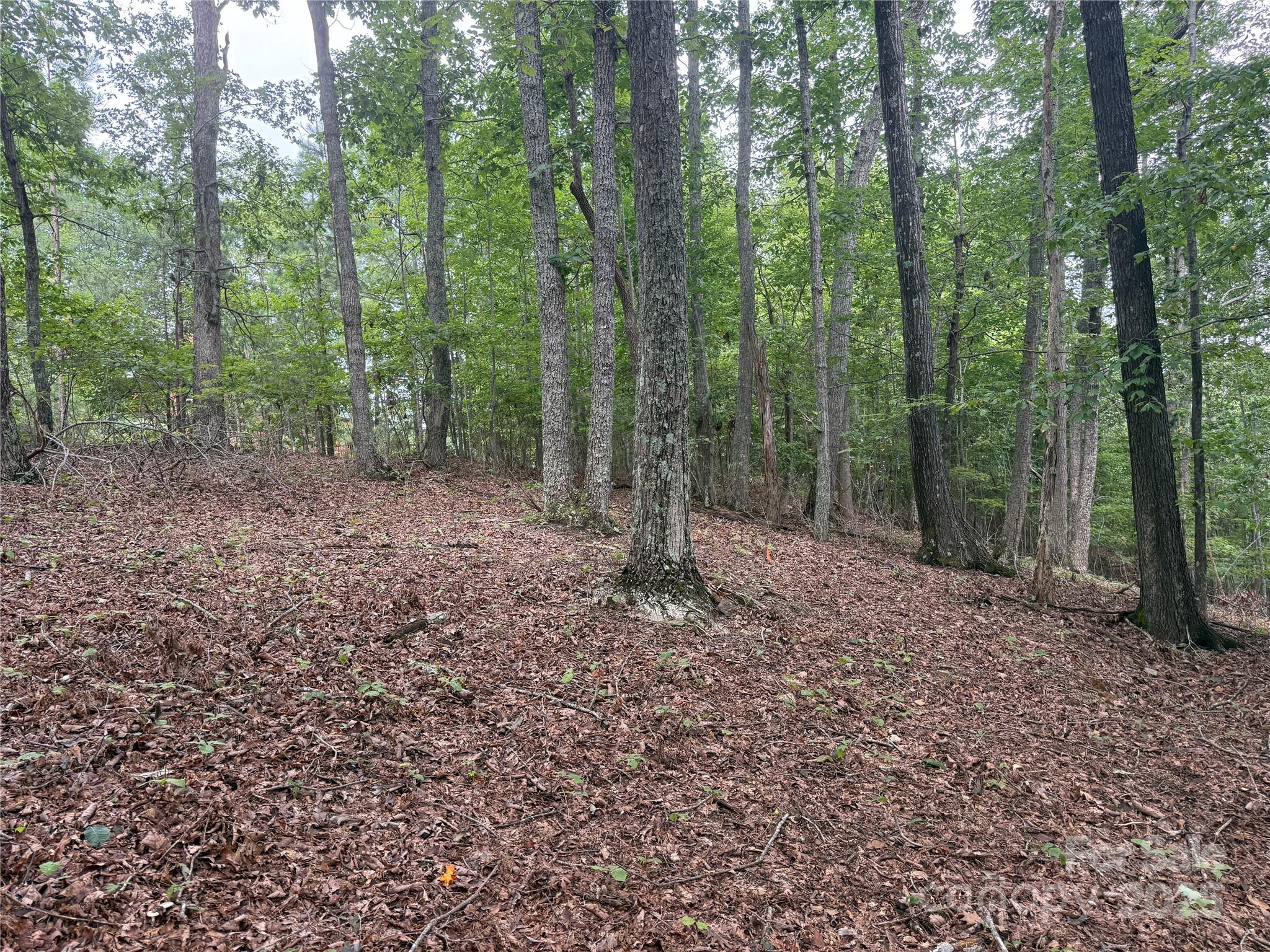 Grandview Peaks - Land