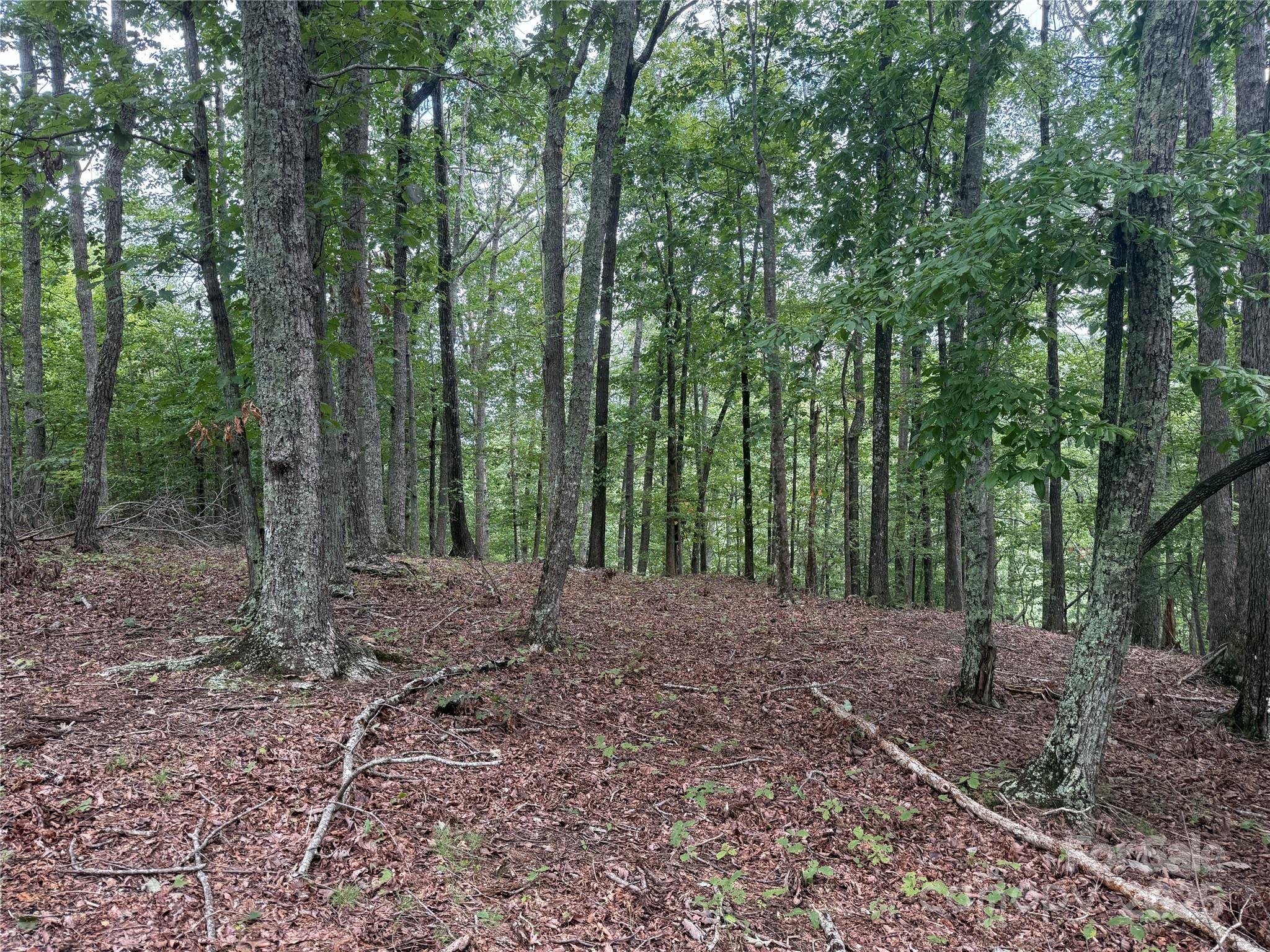 Grandview Peaks - Land