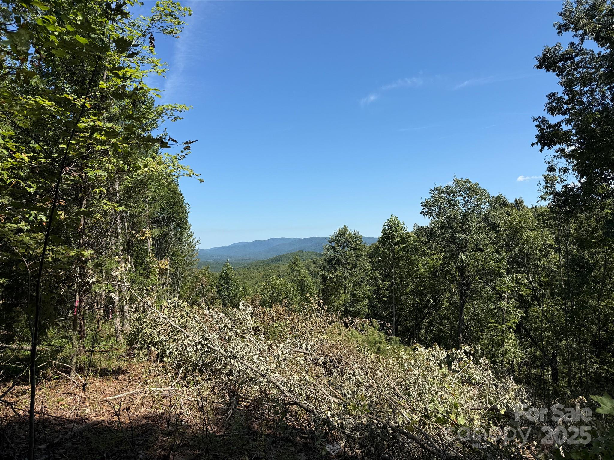 Grandview Peaks - Land