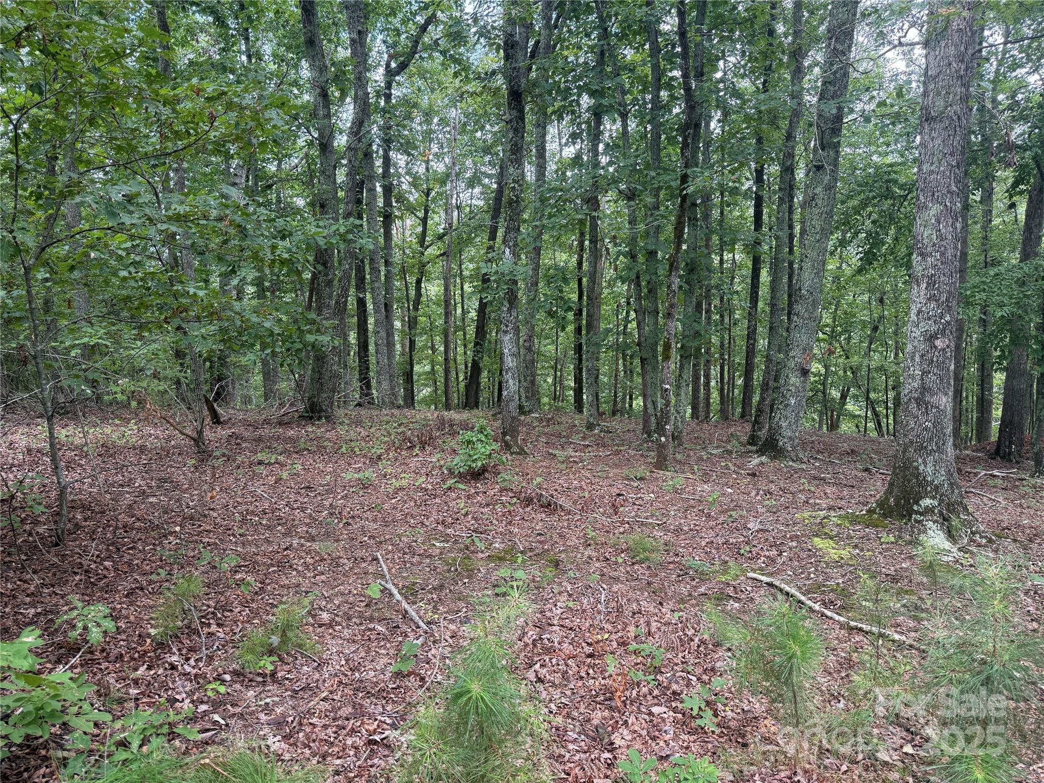 Grandview Peaks - Land