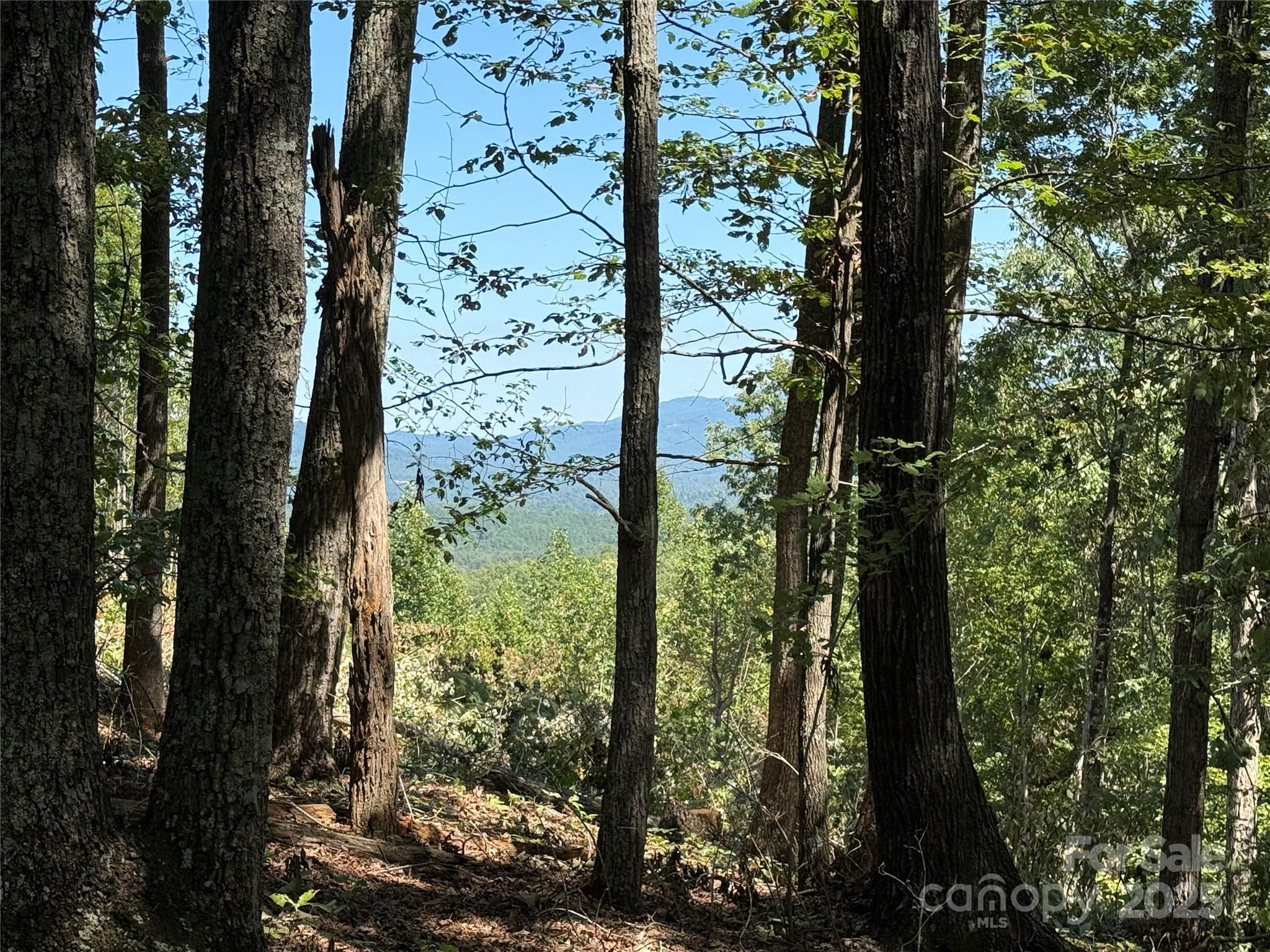 Grandview Peaks - Land