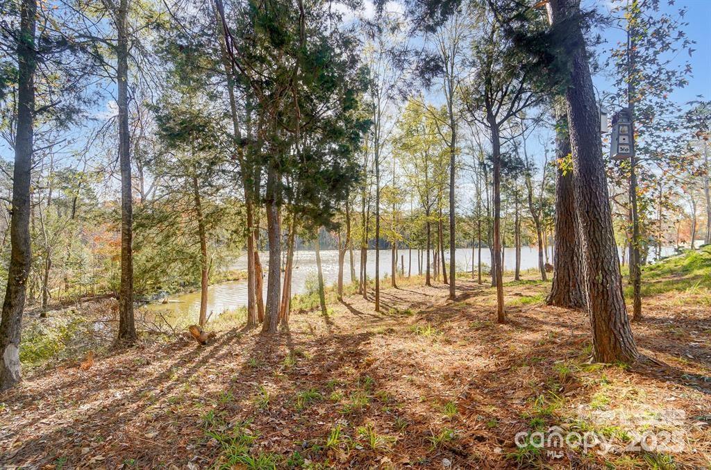 Edgewater - Residential Lease