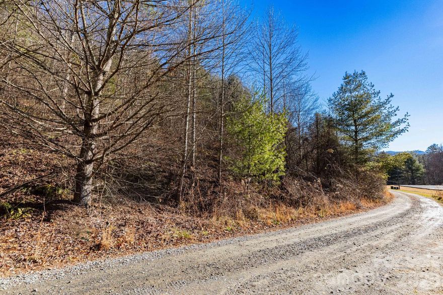 Tucked into the peaceful mountain community of The Rosalie, Lot #6 offers 1.39 acres of beautifully wooded land where privacy, nature, and convenience come together. This gently sloped, forested homesite is ideal for a custom mountain retreat, surrounded by quiet and fresh mountain air with no active HOA to limit your vision.

Despite its serene setting, the location is impressively central. You’re just 30 minutes from Waynesville and Maggie Valley, 30 minutes to Cataloochee’s hiking trails, elk viewing, and ski area, and only one mile from easy I-40 access, making trips to Asheville, Knoxville, or weekend adventures simple and stress-free.

The Rosalie is known for its low-density, peaceful atmosphere—no through traffic, just a handful of well-spaced homes tucked into the woods. Minimum 950 sq ft to build; manufactured and modular homes are not allowed, helping preserve the quality and character of the neighborhood.

If you’re looking for a quiet mountain setting with quick access to Western North Carolina’s best outdoor recreation and charming towns, this lot is a rare opportunity to build exactly what you want, exactly where you want it.

The adjoining lot, #5, is also for sale under MLS #4348847.