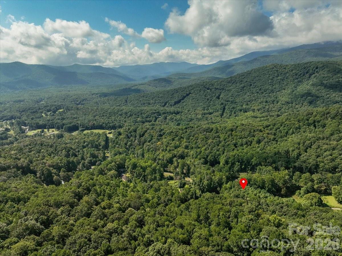 195 Banjo Branch Road