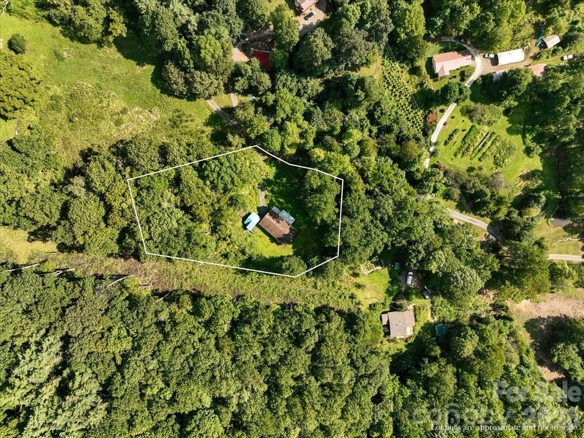 195 Banjo Branch Road