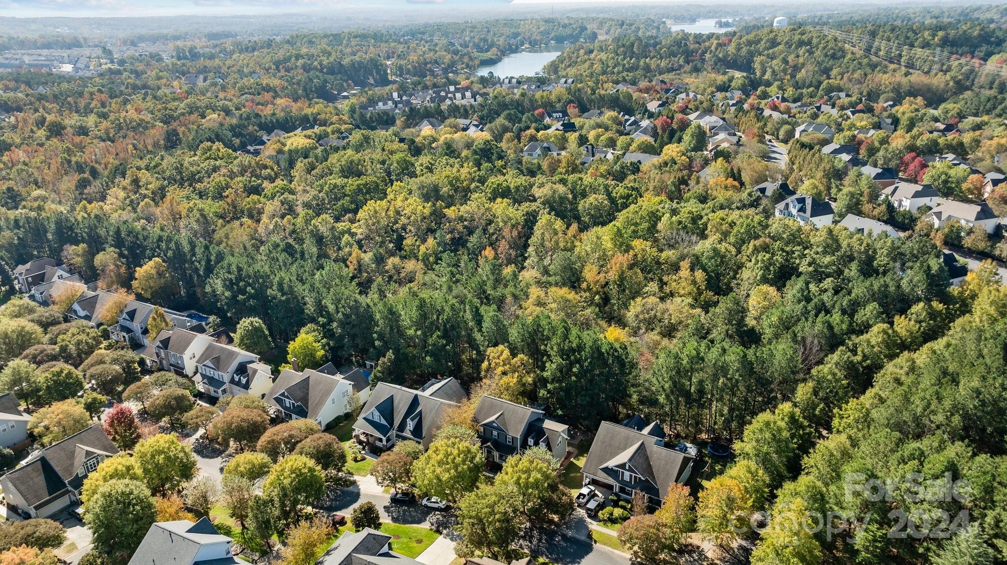 Lake Shore - Residential