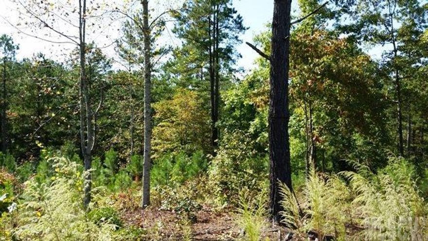 Lot 62 Lake Vistas on Lake Rhodhiss:  This beautiful laying homesite has a perfect slope for a walkout basement home.  Lots of privacy in the back!  Just minutes from the boat launch and a quiet lake to enjoy all kinds of water fun; from great fishing, skiing to canoeing.