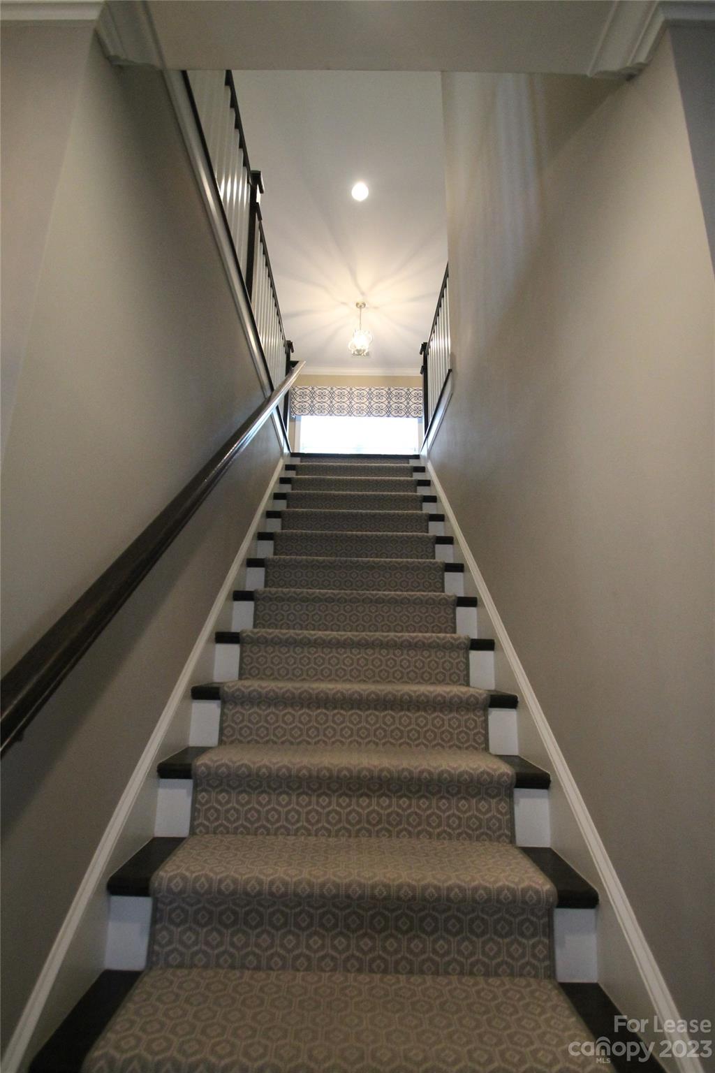 Brayden - Residential Lease