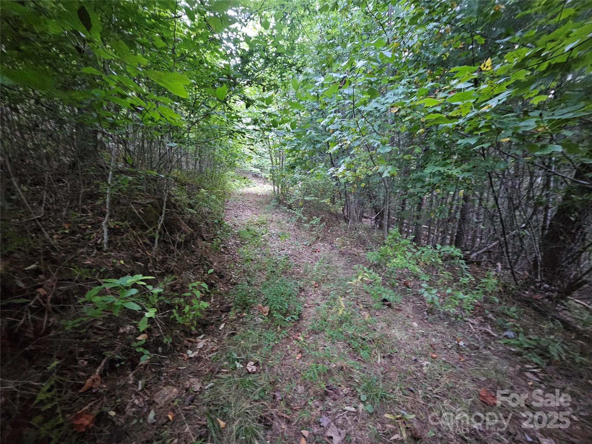 000 Double Island Road