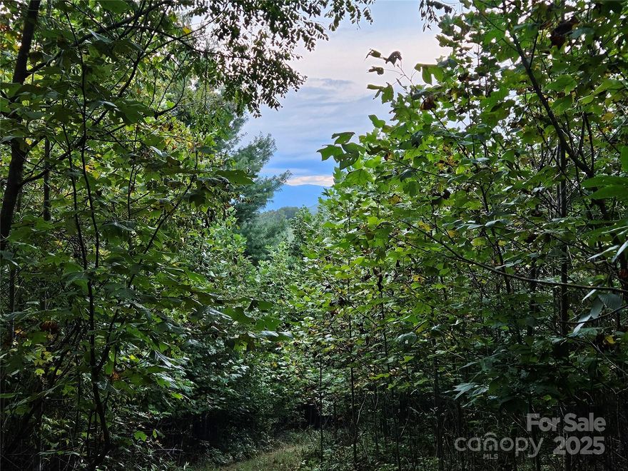 Beautiful & Private 3 acres only 3.3 miles up Double Island from Micaville in Green Mountain NC! 
Large homesite on top with large spacious area for a 2nd home or garage/ workshop. Road cut in. Huge mountain views from all directions. Could easily open up some bigger views with tree trimming. No restrictions and very easy access off paved road. Power nearby. Does need a septic and well. New survey will need to be completed.