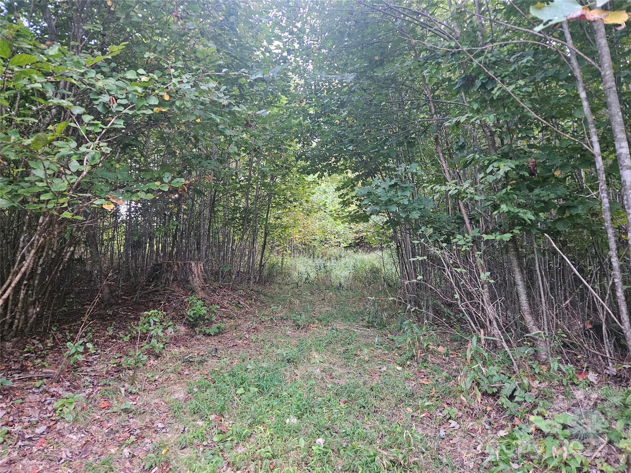 000 Double Island Road